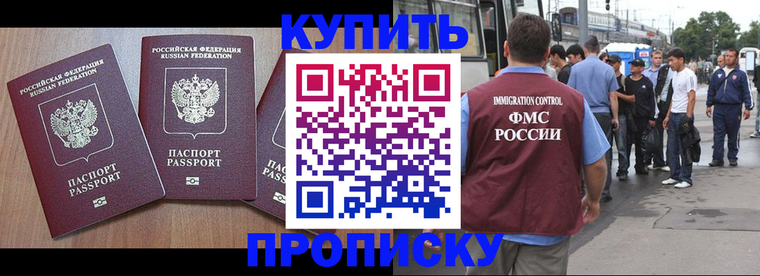 прописка 2025 в Бородино